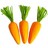 The Carrot