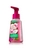 Paradise Coconut Anti-Bacterial Gentle Foaming Hand Soap