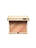 Graphic Expression Face & Blush Powder
