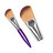 ANGLED FOUNDATION BRUSH P300