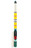 Surf Baby Powerpoint Eye Pencil