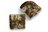No. 1 Seed Soap