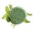 Squeaky Green Solid Shampoo