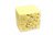 Gentle Lentil Solid Shampoo