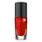 Le Vernis