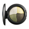 Mac-fall-2012-mineralize-eyeshadow-in-the-meadow