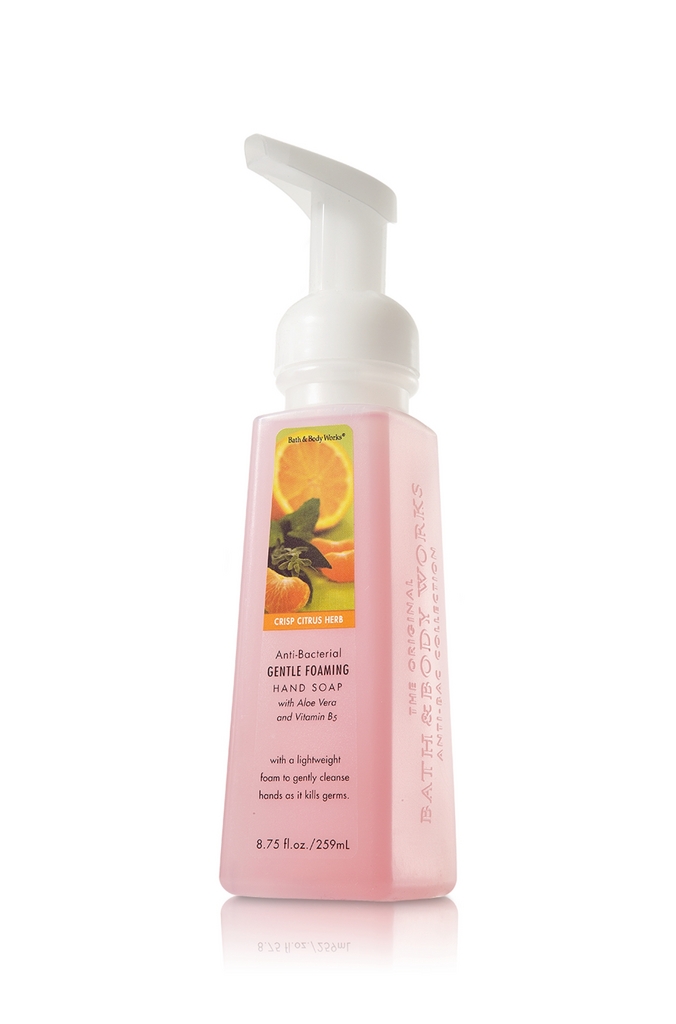 Bath & Body Works Crisp Citrus Herb Anti-Bacterial CLASSICS Gentle Foaming Hand Soap