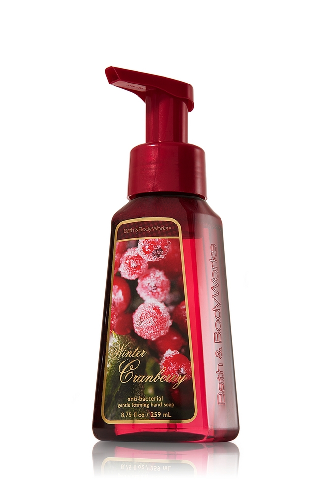 Bath & Body Works Winter Cranberry Anti-Bacterial Gentle Foaming Hand Soap