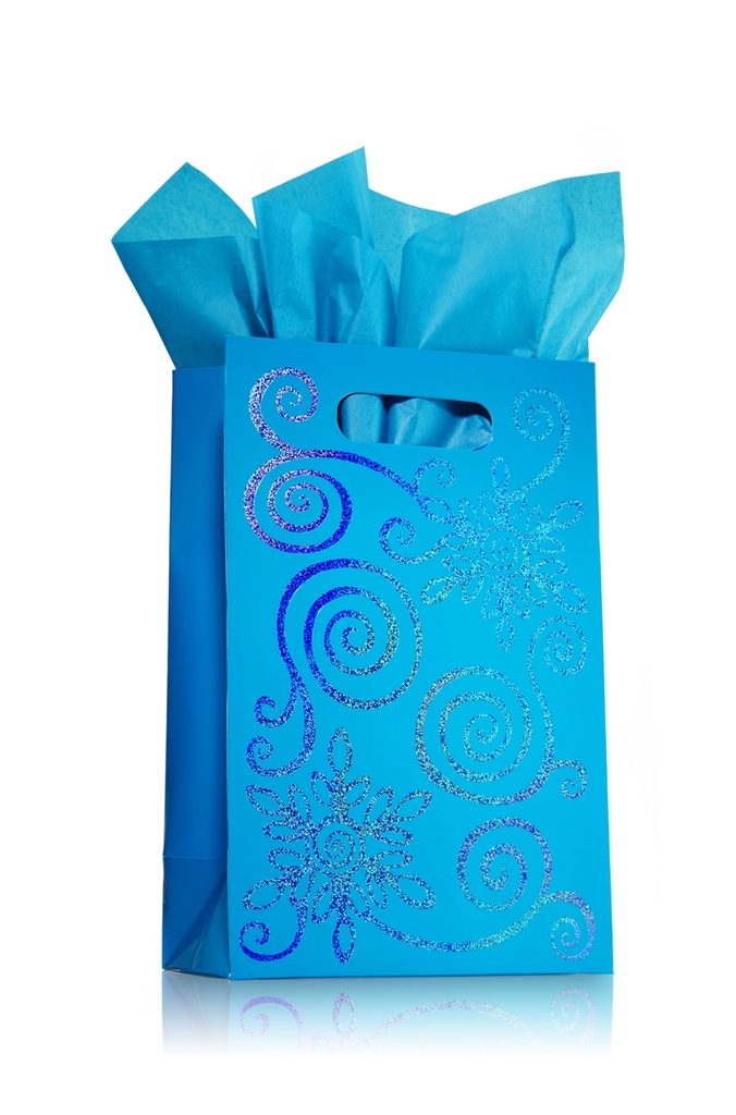 Bath & Body Works Accessories Small Gift Bag Blue Snowflower