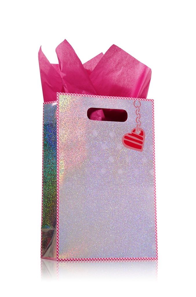 Bath & Body Works Accessories Small Gift Bag Silver Holograph
