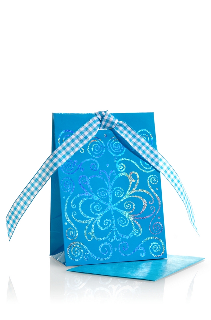 Bath & Body Works Accessories Mini Gift Bag Blue Snowflower