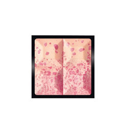 Givenchy Le Prisme Blush