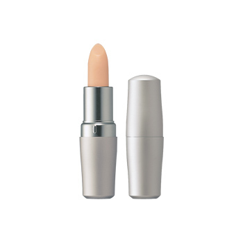 Shiseido THE SKINCARE Protective Lip Conditioner SPF 10