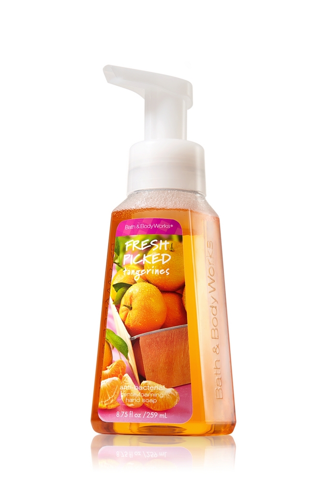 Bath & Body Works Fresh Picked Tangerines Anti-Bacterial Gentle Foaming Hand Soap