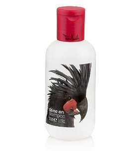 Tara Smith Shine On Shampoo