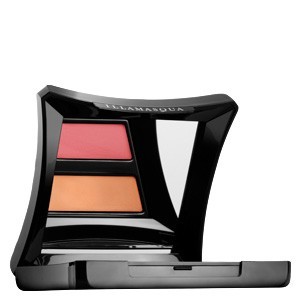Illamasqua Powder Blush Duo in Lover & Hussy
