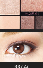 Shiseido Maquillage True Eye Shadow