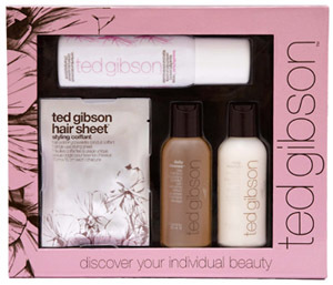 Ted Gibson Travel Essentials