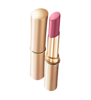 L'Oréal Paris ENDLESS™ Lipcolour