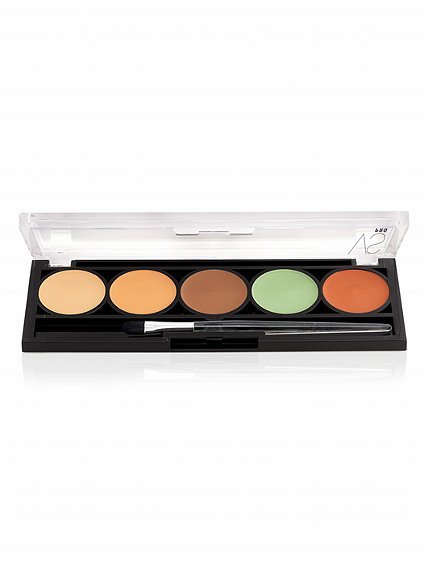 Victoria's Secret PRO Camouflage FX Concealer Palette