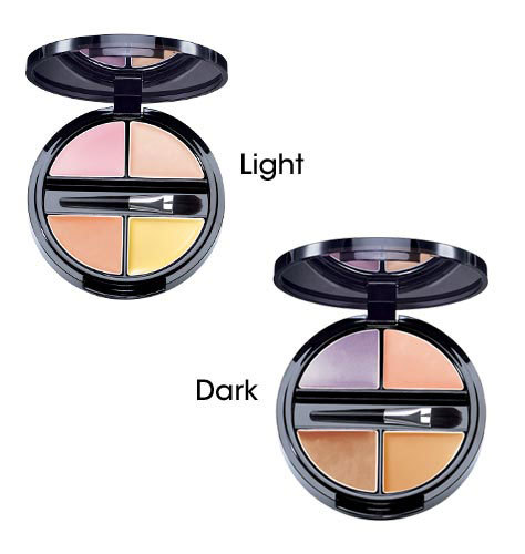 Avon Jillian Dempsey for Avon Professional Corrector Palette