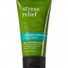 Bath & Body Works Stress Relief - Eucalyptus Spearmint Aromatherapy Hand Cream