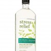 Bath & Body Works Stress Relief - Eucalyptus Spearmint Aromatherapy Body Wash & Foam Bath