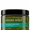 Bath & Body Works Stress Relief - Eucalyptus Spearmint Aromatherapy Sugar Scrub