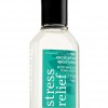 Bath & Body Works Stress Relief - Eucalyptus Spearmint Aromatherapy Travel-Size Body Wash & Foam Bath