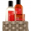 Bath & Body Works Energy - Orange Ginger Aromatherapy Mini Gift Basket