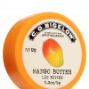 Bath & Body Works Mango Butter C.O. Bigelow Nourishing Lip Butter