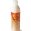 Bath & Body Works Mango Mandarin Signature Collection Volumizing Conditioner