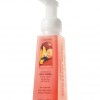 Bath & Body Works Mango Mandarin Anti-Bacterial CLASSICS Gentle Foaming Hand Soap