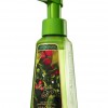 Bath & Body Works Mistletoe Kiss Anti-Bacterial Gentle Foaming Hand Soap