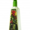Bath & Body Works Mistletoe Kiss Anti-Bacterial Moisturizing Hand Soap