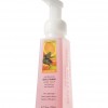 Bath & Body Works Crisp Citrus Herb Anti-Bacterial CLASSICS Gentle Foaming Hand Soap