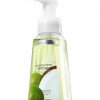 Bath & Body Works Coconut Lime Verbena Anti-Bacterial Gentle Foaming Hand Soap
