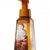 Bath & Body Works Iced Gingerbread Anti-Bacterial Gentle Foaming Hand Soap