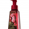 Bath & Body Works Winter Cranberry Anti-Bacterial Gentle Foaming Hand Soap