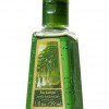 Bath & Body Works Apple Wreath Anti-Bacterial PocketBac® Sanitizing Hand Gel