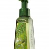 Bath & Body Works Apple Wreath Anti-Bacterial Gentle Foaming Hand Soap