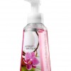 Bath & Body Works Caribbean Escape® Anti-Bacterial Gentle Foaming Hand Soap