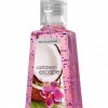 Bath & Body Works Caribbean Escape® Anti-Bacterial Pocketbac® Sanitizing Hand Gel