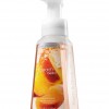 Bath & Body Works Peach Bellini Anti-Bacterial Gentle Foaming Hand Soap