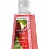 Bath & Body Works Fresh Market Apple Anti-Bacterial PocketBac® Sanitizing Hand Gel