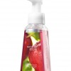 Bath & Body Works Fresh Market Apple Anti-Bacterial Gentle Foaming Hand Soap