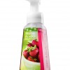 Bath & Body Works Fresh Picked Strawberries Anti-Bacterial Gentle Foaming Hand Soap