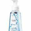 Bath & Body Works Dancing Waters® Anti-Bacterial Gentle Foaming Hand Soap