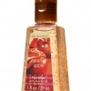 Bath & Body Works Caramel Apple Anti-Bacterial PocketBac® Sanitizing Hand Gel