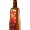 Bath & Body Works Caramel Apple Anti-Bacterial Deep Cleansing Hand Soap